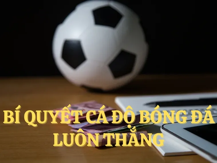 Bí Kíp Tìm Hiểu Cá Cược Bóng Đá UU88 Giúp Bạn Thắng Lớn Mỗi Ngày