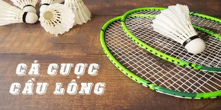 Bật Mí Cách Chơi Cá Cược Cầu Lông Tại UU88 Giúp Bạn Thắng Đậm