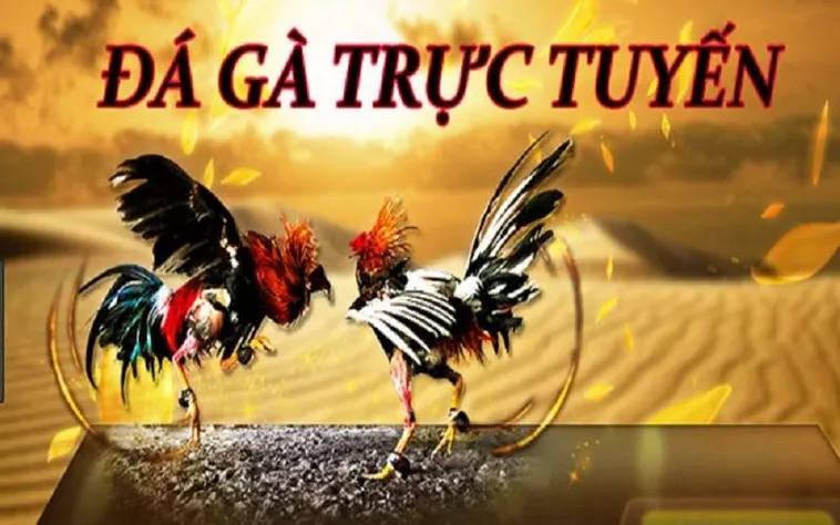 Đá Gà UU88 Đỉnh Cao Kèo Cược Hấp Dẫn Thưởng Khủng Mỗi Ngày