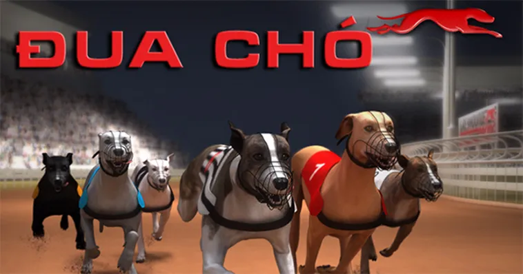 Kinh Nghiệm Áp Dụng Cách Chơi Game Nhanh Đua Chó Tại UU88 Đỉnh Cao Nhất